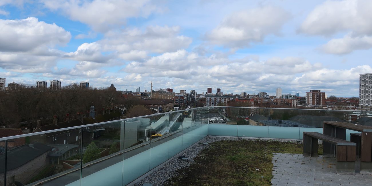 Rooftop London Skyline